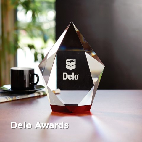 Delo Awards
